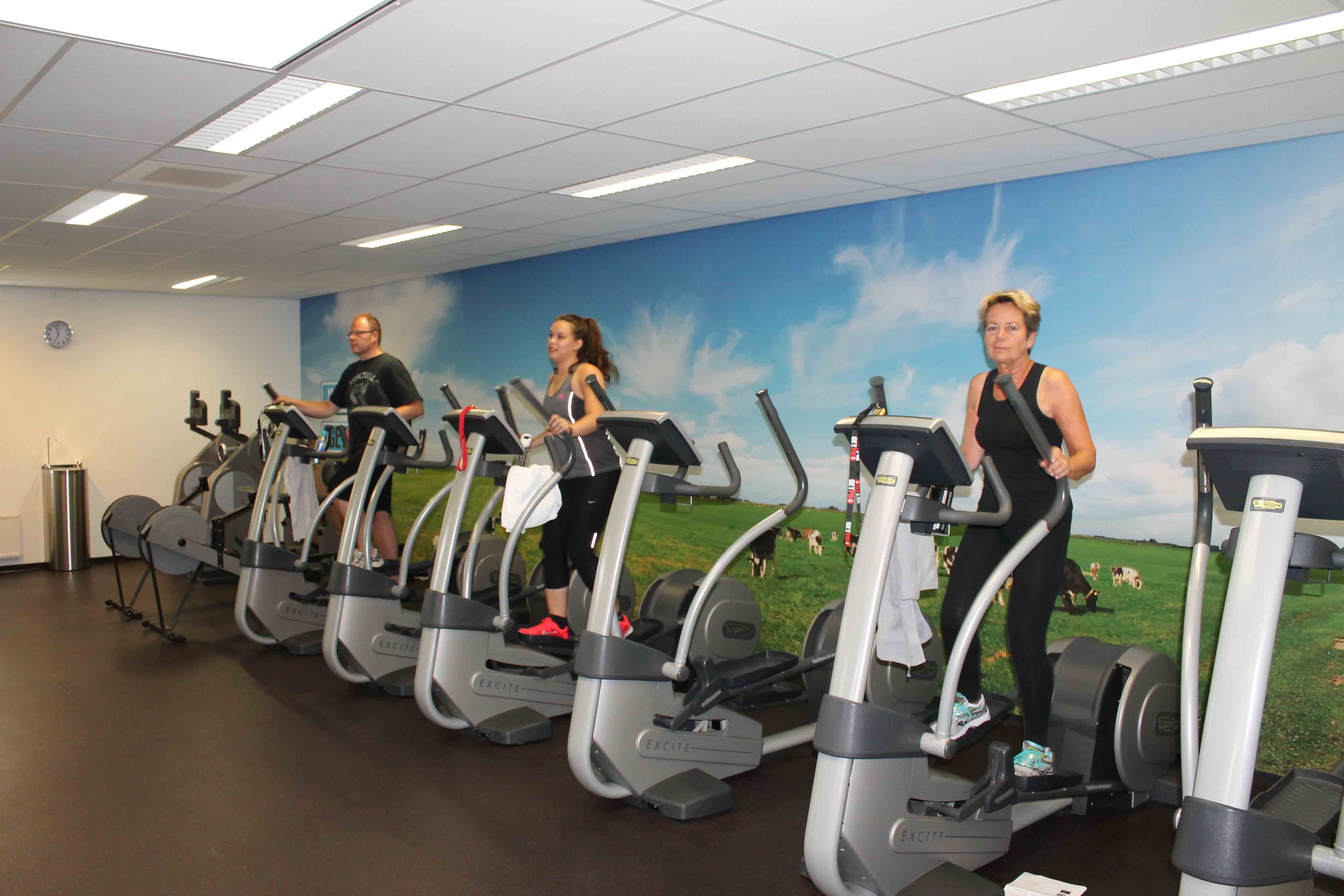 weer wervelkolom Mail Cardio training bij de FitnessParadise sportschool in Oud-Beijerland :  FitnessParadise